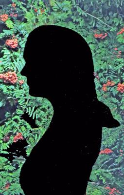 703 SABRINA SILHOUETTE.jpg